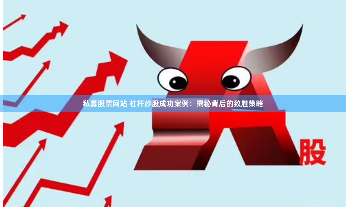 私募股票網(wǎng)站 杠桿炒股成功案例：揭秘背后的致勝策略