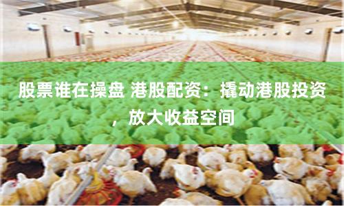股票誰在操盤 港股配資：撬動港股投資，放大收益空間